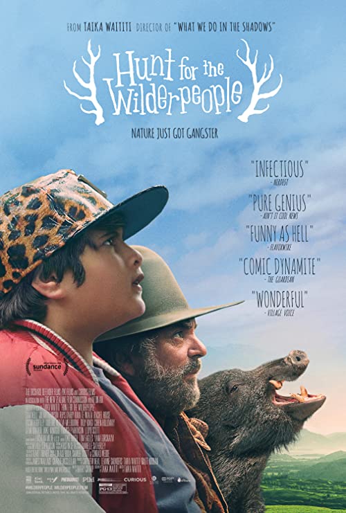 دانلود فیلم شکار انسان‌های سرگردان Hunt for the Wilderpeople 2016